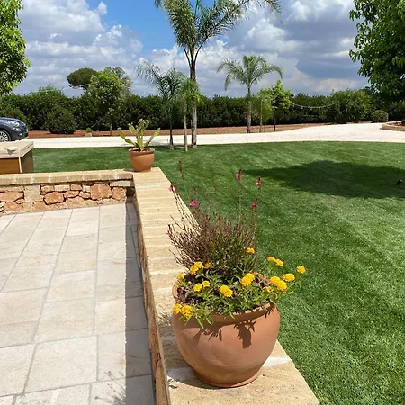 Vanda By Salentoltremare