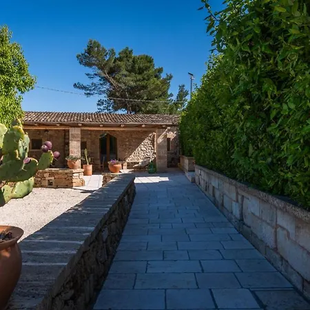 Vanda By Salentoltremare